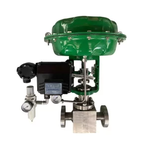 Globe Control Valve