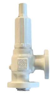 Safety Valve