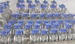 Plug Valve