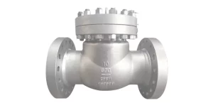 check valve