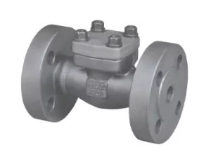 check valve