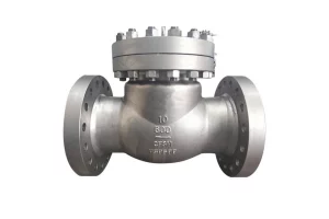 Check Valves (1)