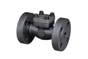 Check Valves (2)
