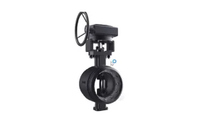 Butterfly-valve（2）