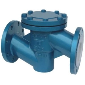 Check Valve