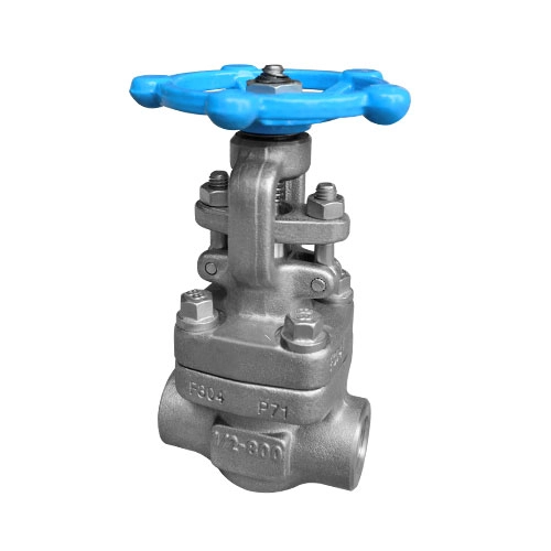 gate valve(