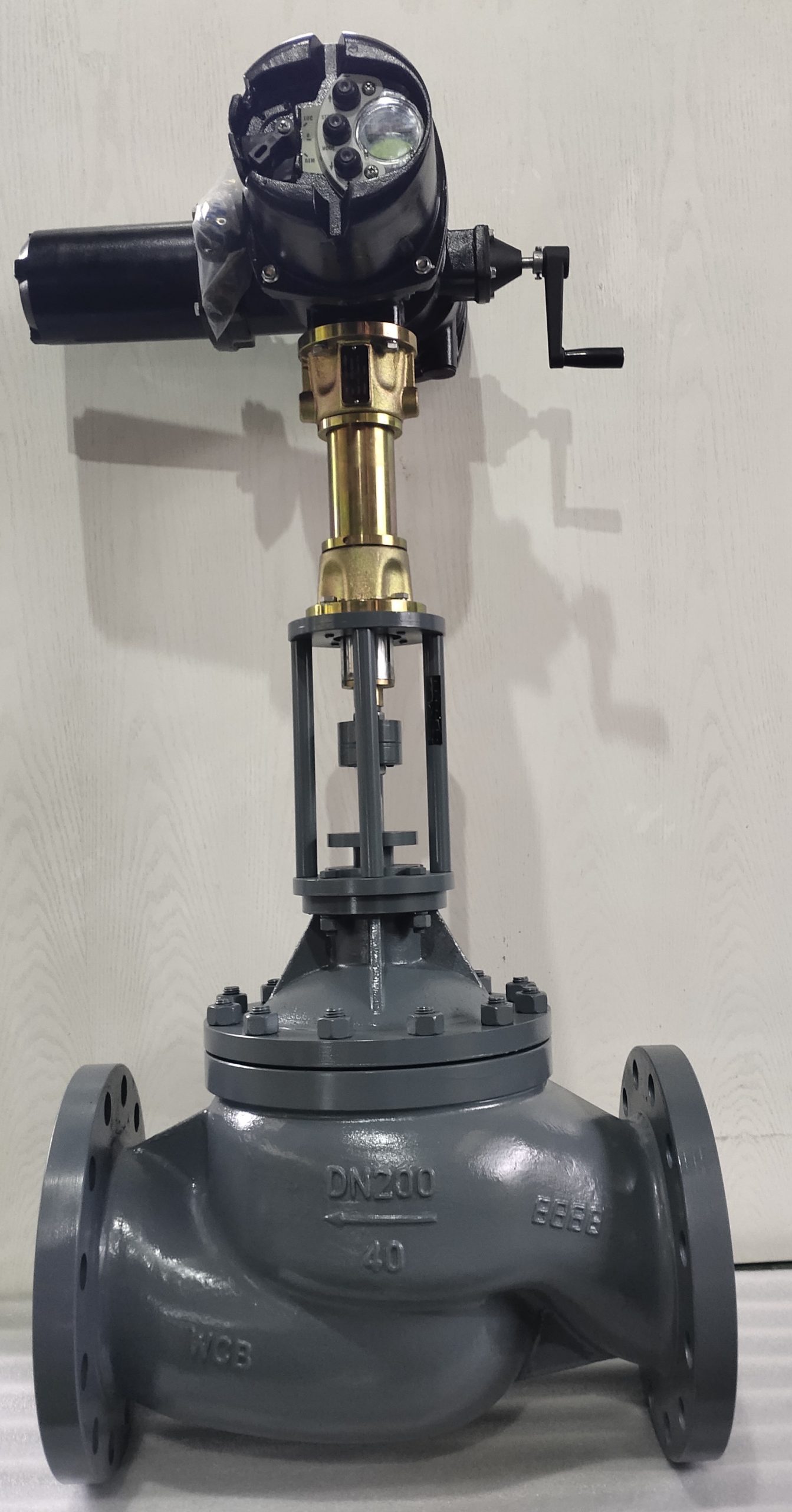 Globe Control Valve ABB ONTRAC Electric actuator (460 V/AC)