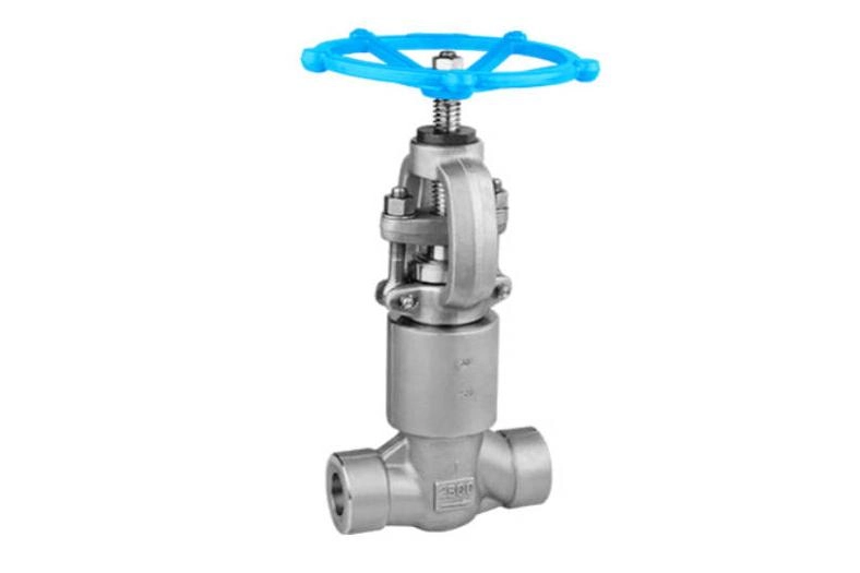 forged globe valve