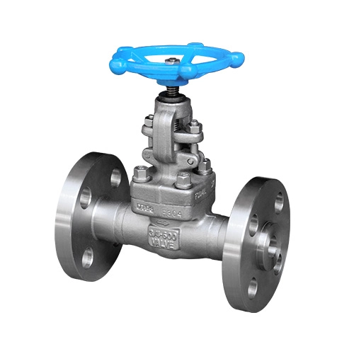 forged globe valve