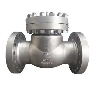 check valve