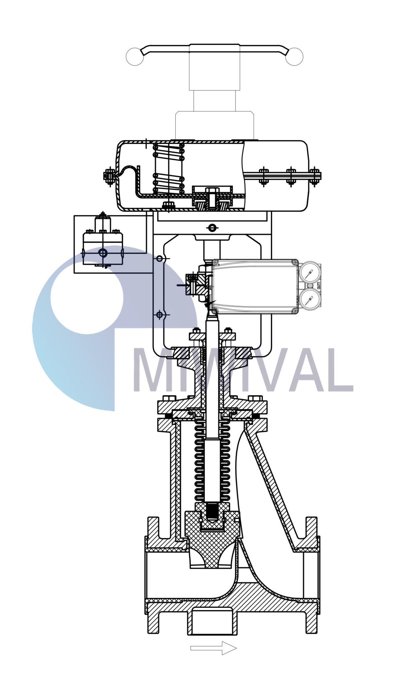 Globe Control Valves