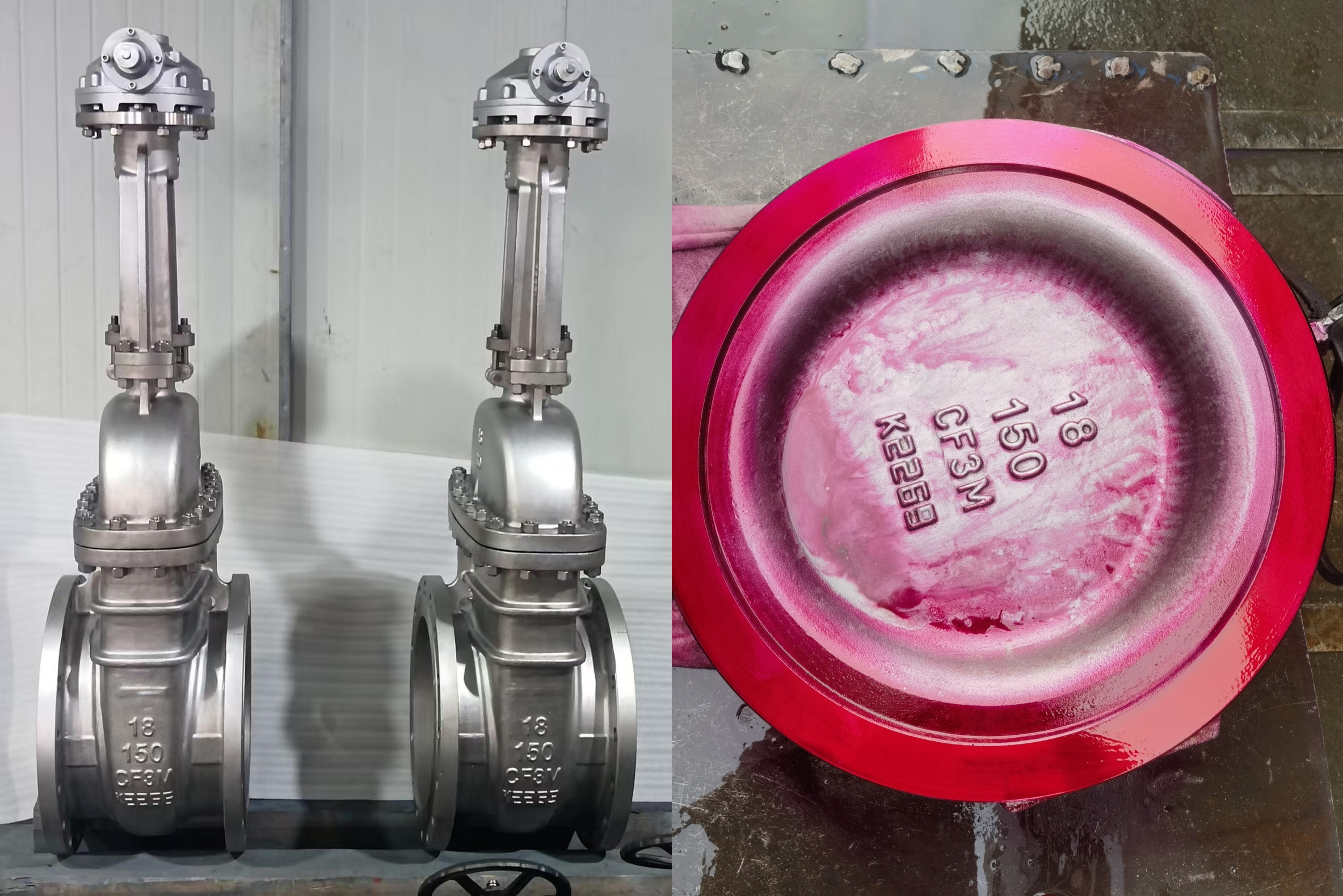 Wedge Gate Valve with PT Testing