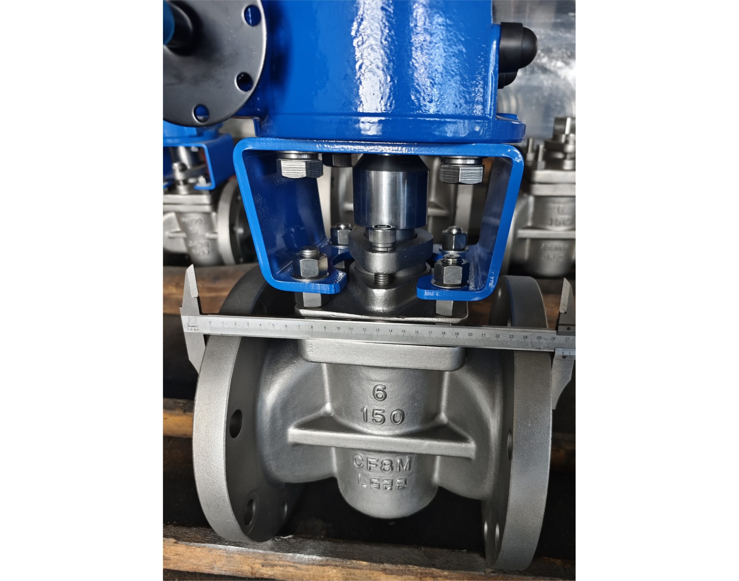 Gear Operated CF8M Plug Valve