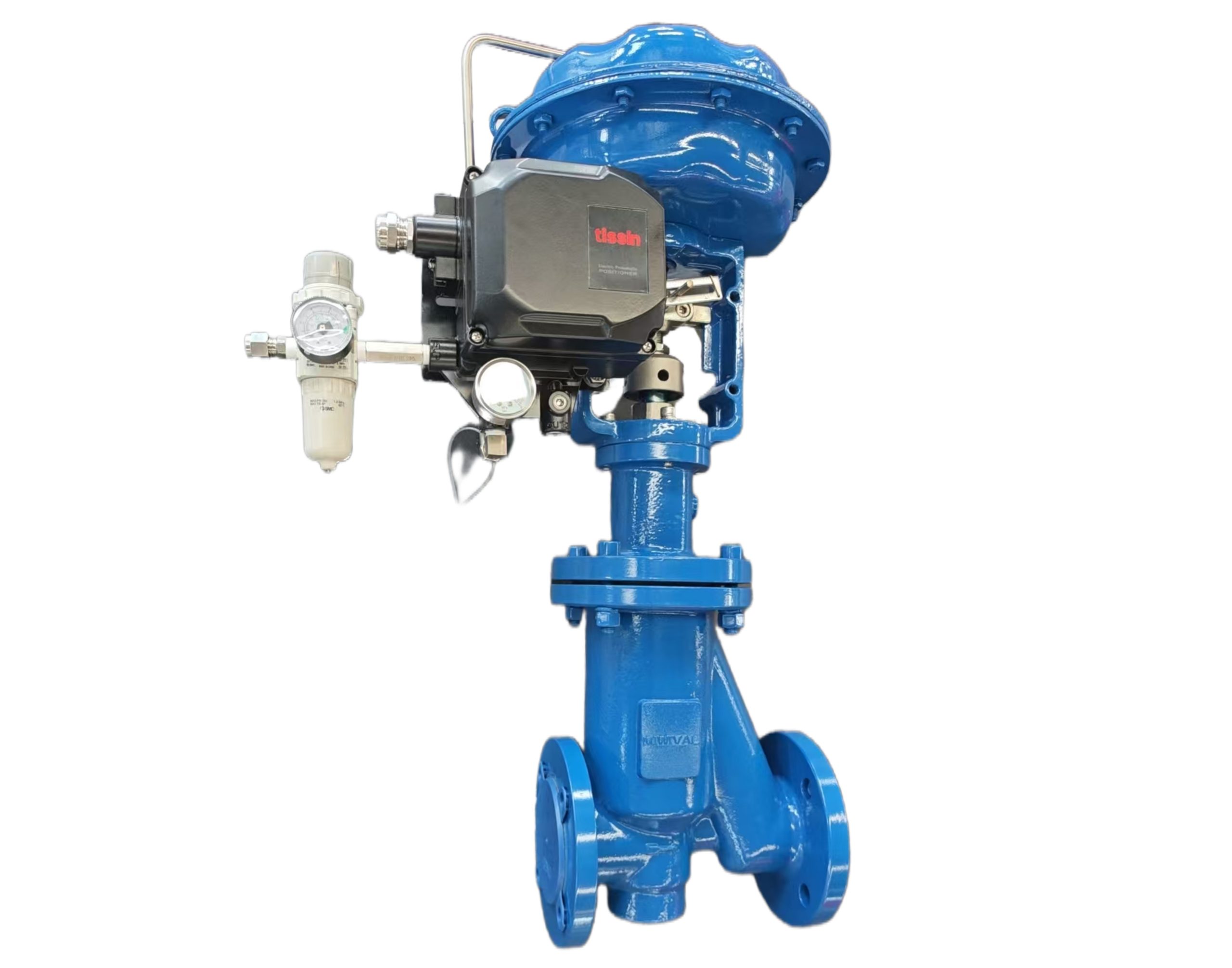 Lined Bellow Sealed Globe Control Valve