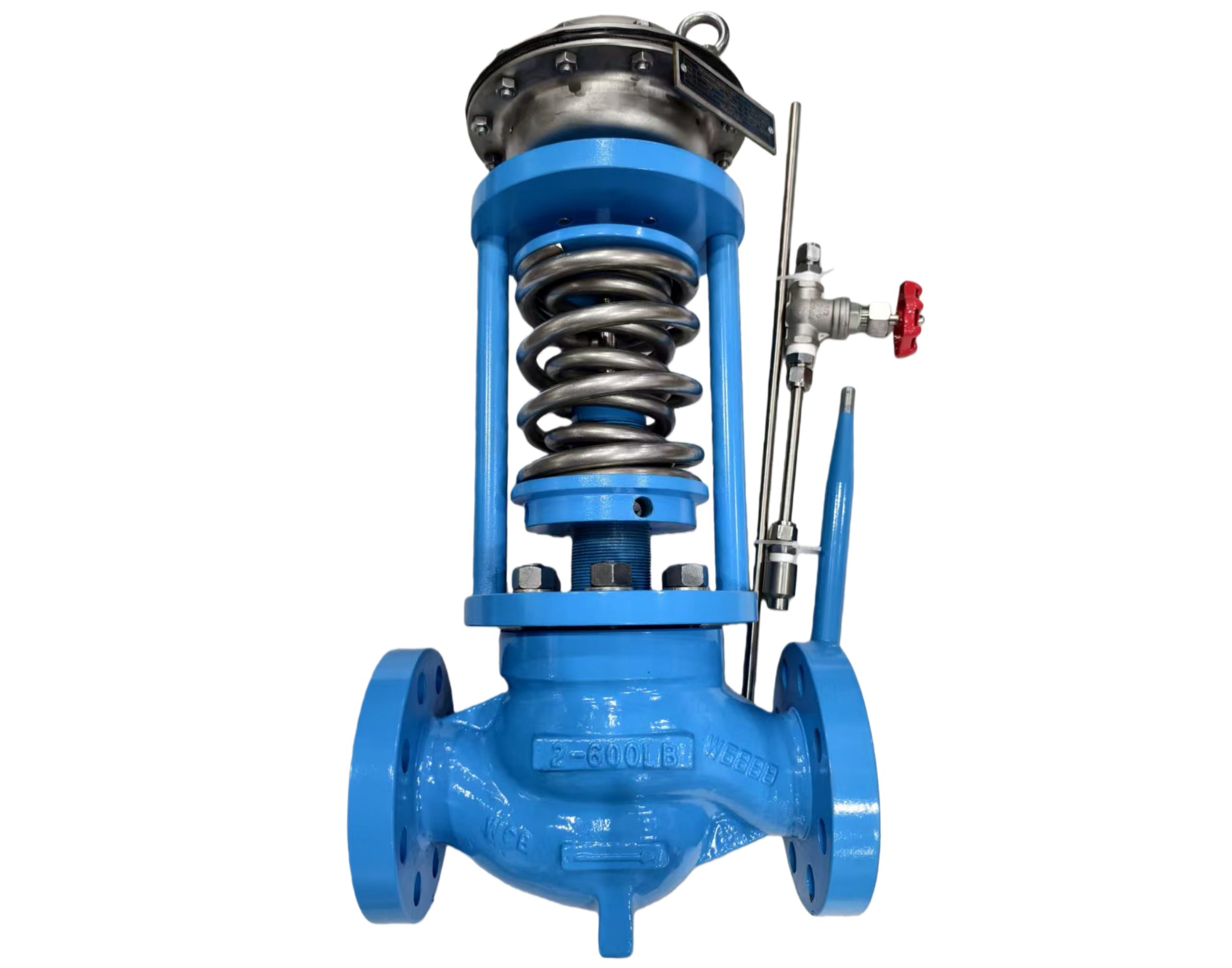 C5 Painting Self-regulated Globe Control Valves – MIWIVAL