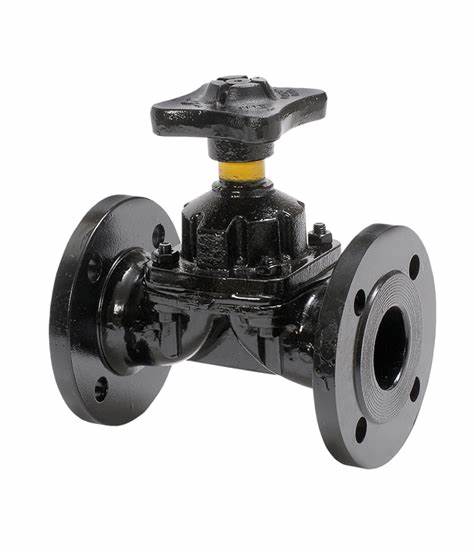 A Buyer's Guide to Selecting the Right Diaphragm Valve (Body Material, Diaphragm Type & More)