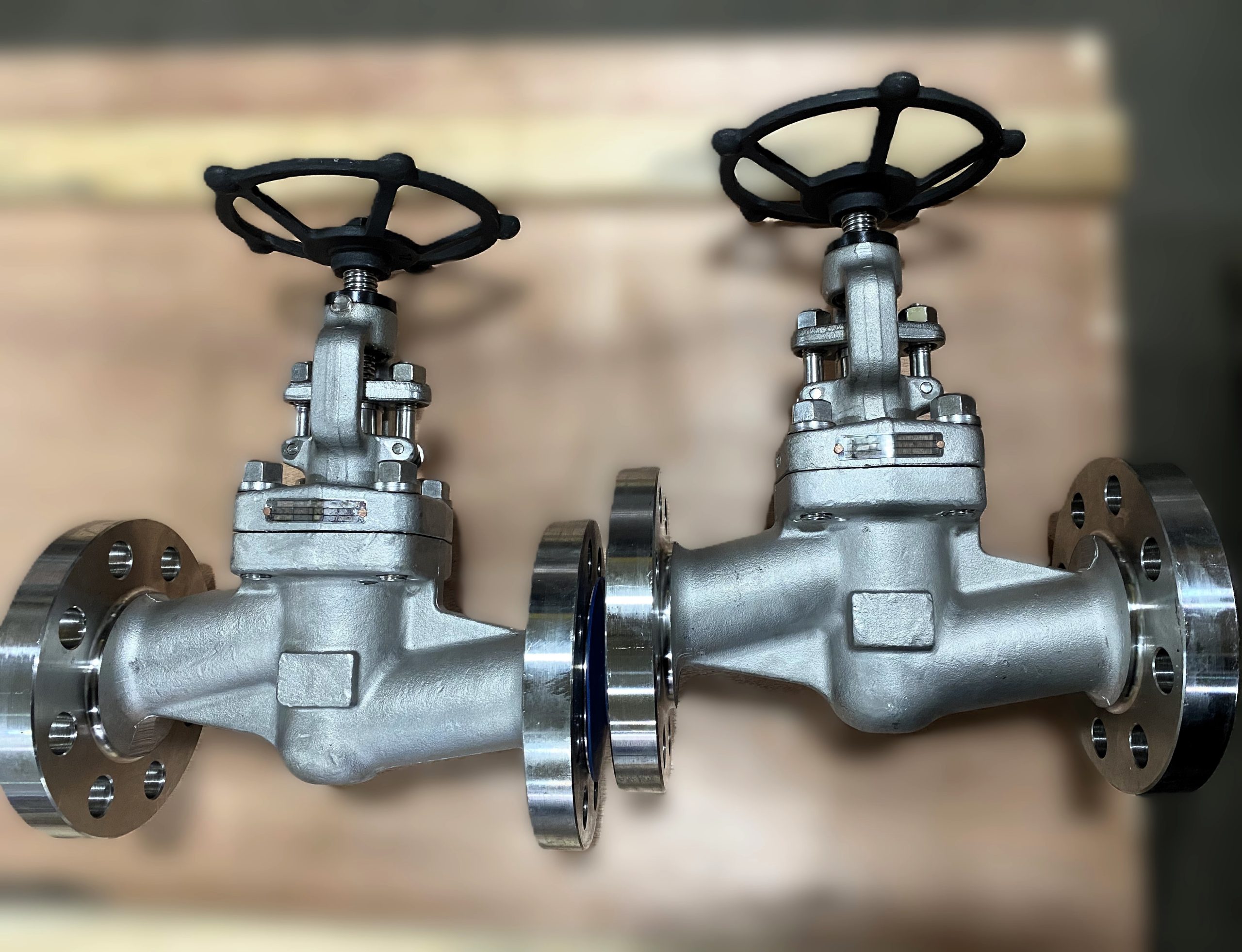 Manual F316 Globe Valves
