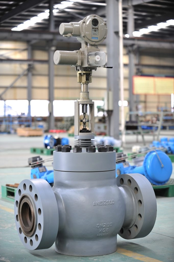 Globe Control Valve-