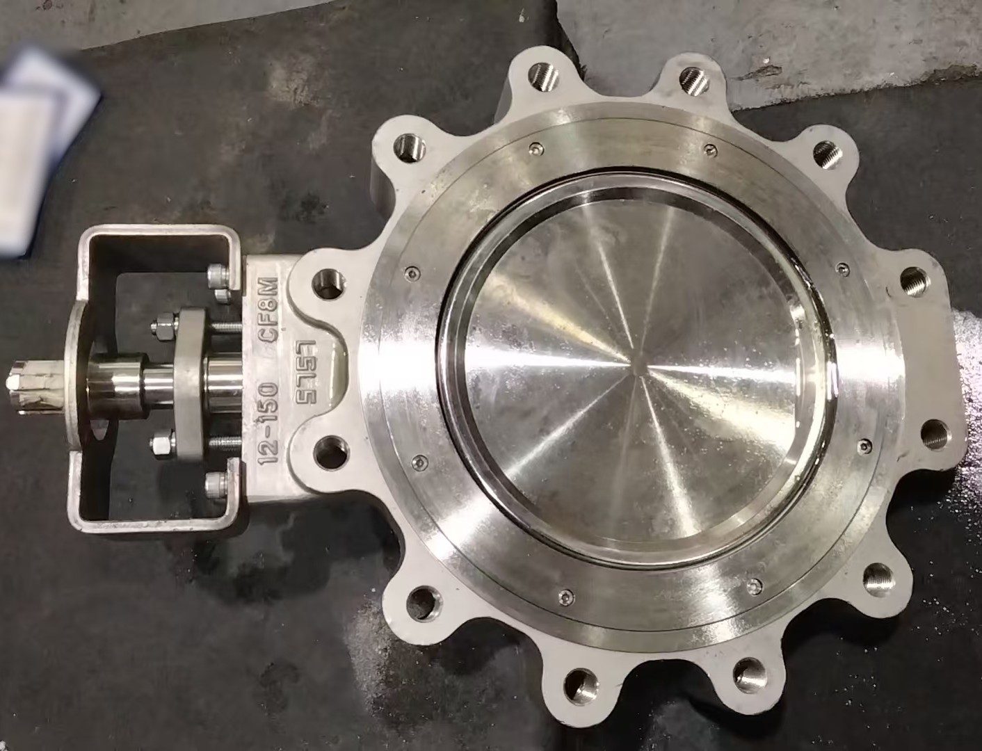 Bare Stem Lug High Performance Butterfly Valves