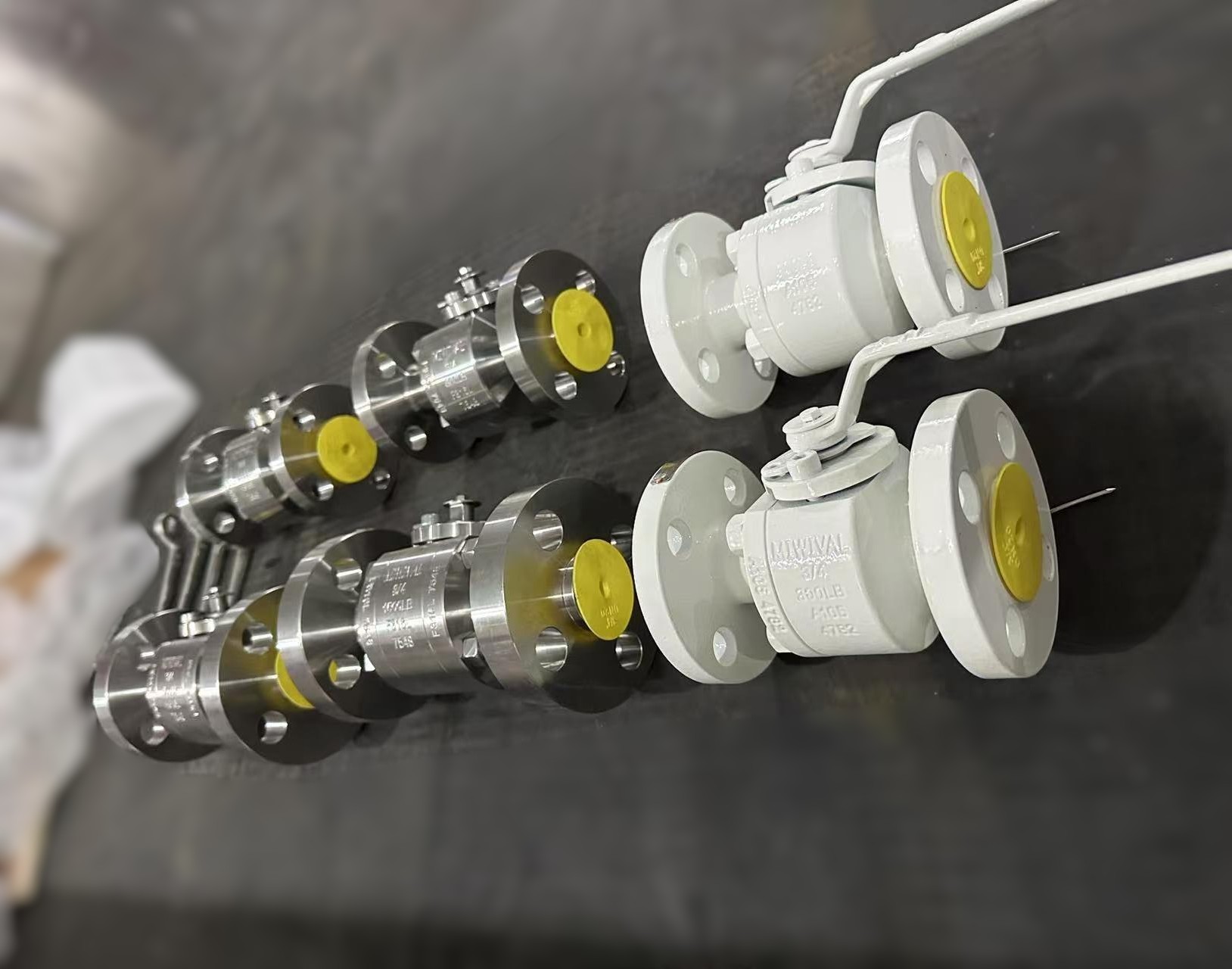 C5 Painting and F316L Floating Ball Valves